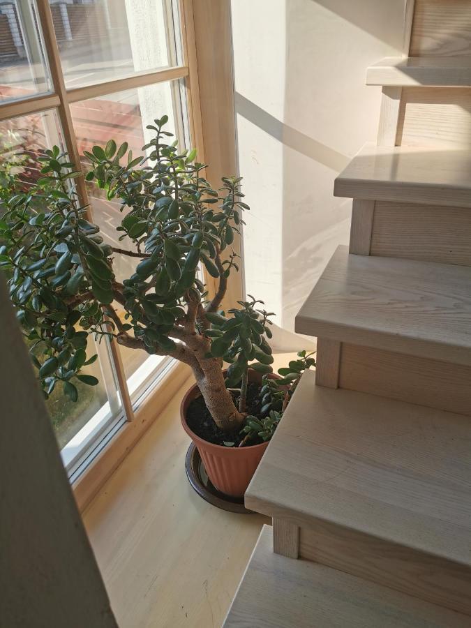 9 Min From Palanga! Luxury House On The River And Sauna Kretinga Kültér fotó